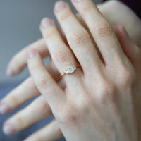 MONICA PIRLANTA TEKTAŞ