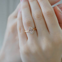 LOTUS SADE MORGANITE TEKTAŞ