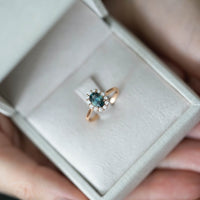 FOREST SAFİR TEKTAŞ