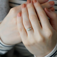 DAISY VANILLA HAM ELMAS TEKTAŞ