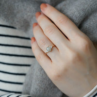 DAISY VANILLA HAM ELMAS TEKTAŞ