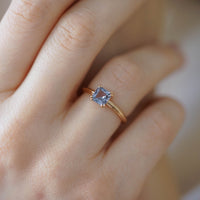 YALIN SPINEL TEKTAŞ