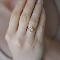 LOTUS SADE MORGANITE TEKTAŞ