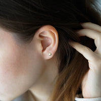 SHELL PIERCING - SARI ALTIN