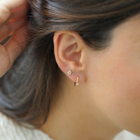 FRAME PIERCING - ROSE ALTIN
