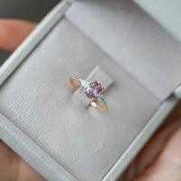 JOY CHERRY SAFİR TEKTAŞ