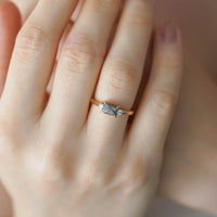 SARA HAM ELMAS TEKTAŞ