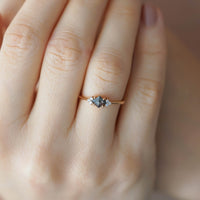 STARRY HAM ELMAS TEKTAŞ