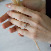 MONICA PIRLANTA TEKTAŞ