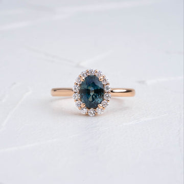 FOREST SAFİR TEKTAŞ