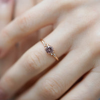 MILLY COGNAC SAFİR TEKTAŞ